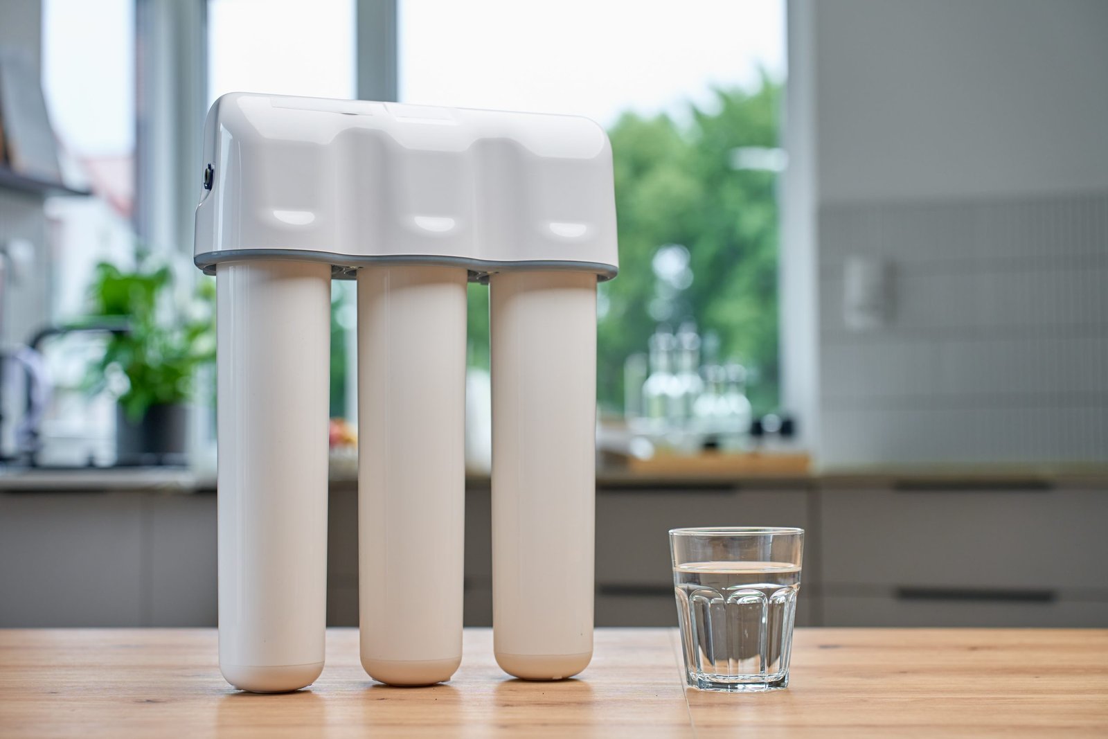Water Filter and Water Glass